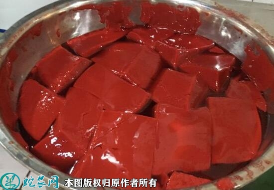 猪血价格多少钱一斤？2023年6月今...