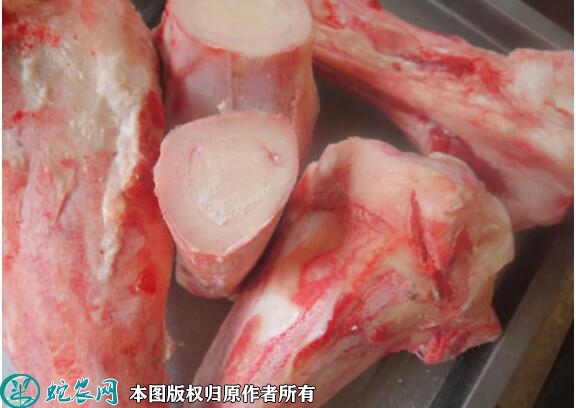 牛骨价格多少钱一斤？2023年6月今...