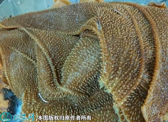 牛百叶价格多少钱一斤？2023年6月...