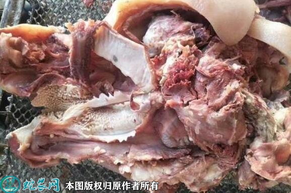 牛嘴巴价格多少钱一斤？2023年6月...