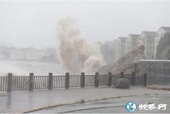 台风“利奇马”到来，烟台市农业农村局...