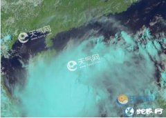 农业农村部部署12号台风“杨柳”防御...