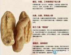 天麻的功效、天麻的正确吃法有哪些？