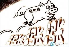 农业农村部回应关于猪肉价格持续上涨问...