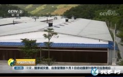 鸡肉价格上涨养鸡户收入增加！广东鸡价...