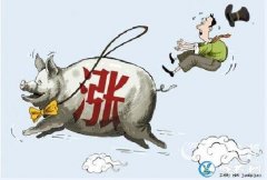 “走！回农村养猪去”！给钱、给点、给...