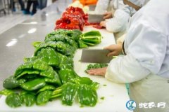 农村小型加工厂、适合在乡镇开的加工厂...