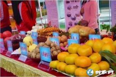农副产品、大家常说的农副产品有哪些？