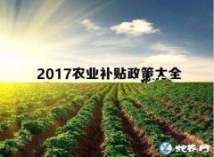 2019年农村合作社优惠政策都出台了...