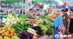 山西蔬菜价格行情分析、乐亭本地菜花大...