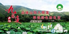 陕西激活村集体经济！打造“金鸡扶贫”...
