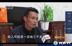云南宁蒗小小马铃薯为百姓致富铺路！人...