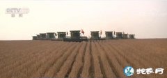 我国划定永久基本农田保粮食安全！实施...