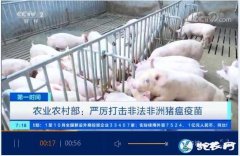 农业农村部：当前市面上的“非洲猪瘟疫...