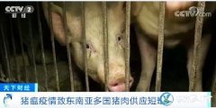 猪瘟疫情致东南亚多国猪肉供应短缺、美...