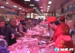 北京猪肉价格11月末比月初下降27%...