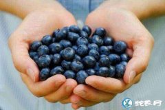 2019年12月7日蓝莓价格行情、今...