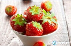 2019年12月10日草莓价格行情、...
