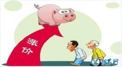 2019年12月18日猪价格行情、今...