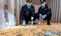 一粒都不能进！汕头海关查出携有转基因...