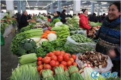 广东汕头市场：蔬菜总体均价较平稳、4...