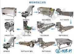 净菜加工设备、净菜加工设备厂家品牌明...