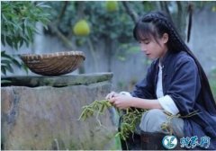 李子柒否认年入1.6亿怎么回事？文章...