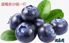 2020年1月18日蓝莓价格行情、今...