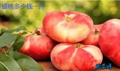 2020年1月18日蟠桃价格行情、今...