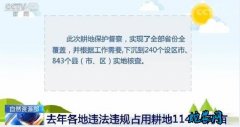 2019年全国各地违法违规占用耕地1...