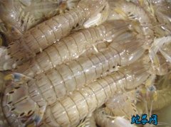 2020年2月10日皮皮虾价格行情、...