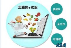 卖农产品最好的平台？农产品销售网站哪...