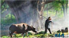 农村俗语：“一代做官九代绝、一家发财...