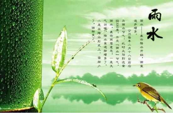 2020年雨水是几月几日？雨水的习俗...