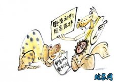 关于禁止非法野生动物交易的决定草案提...