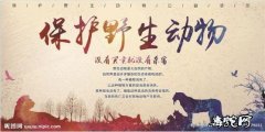 全面禁止非法野生动物交易！可食用动物...