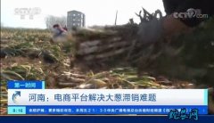 河南电商平台解决大葱滞销难题！为拉葱...