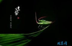 2020年惊蛰是几月几日？惊蛰的风俗...