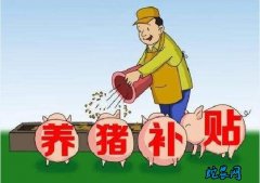 养猪政策从禁养、放开养、鼓励养！养猪...