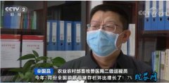 农业农村部：生猪生产保持良好恢复势头...