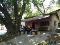 农村俗语“门前不栽树，屋后不开窗”是...
