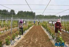 安徽省谋划产业扶贫项目扩面提质