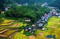 开化县农业农村局盘点2019年十件大...