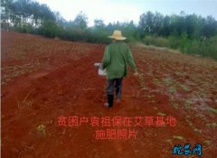 陕西：抗疫不松劲，战贫不停步