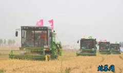 3000多亩地怎么种？河北省100万...