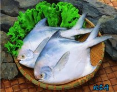 2020年4月10日鲳鱼价格行情、今...