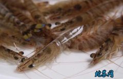 2020年4月14日基围虾价格行情、...