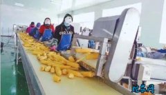 黑龙江海伦促进农村劳动力就近就地就业