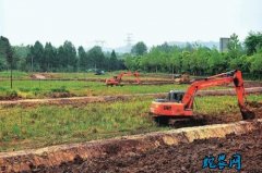 安徽：小田并大田 省力又增收