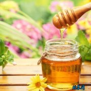 2020年4月18日蜂蜜价格行情、今...